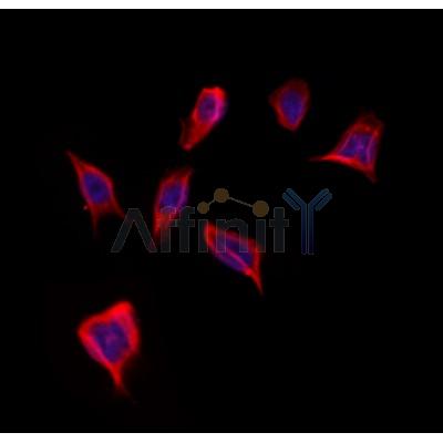 Валидация Affinity DF12405 - 6896