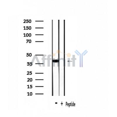 Валидация Affinity DF2841 - 13602