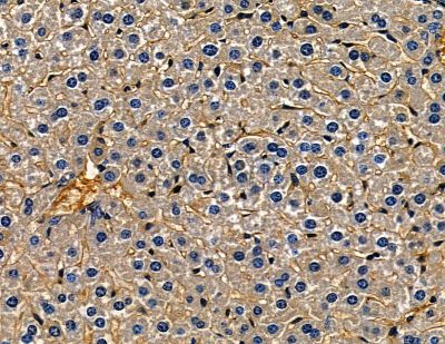 Валидация Affinity DF13770 - 9433