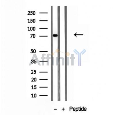 Валидация Affinity DF12141 - 6318