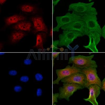 Валидация Affinity DF13188 - 8178