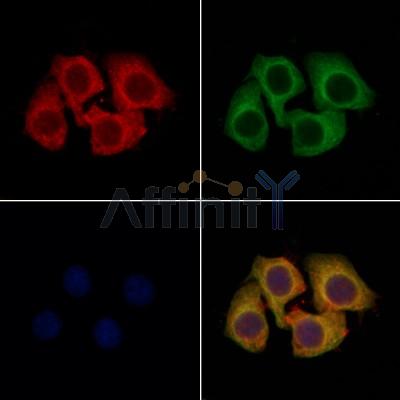 Валидация Affinity DF6505 - 17909