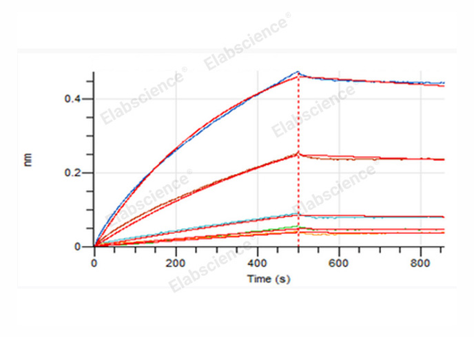 Валидация Elabscience PKSQ050095(5464)