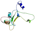 Inositol-1,4,5-Triphosphate Receptor Interacting Protein Like Protein 1 (ITPRIPL1) Inositol-1,4,5-Triphosphate Receptor Interacting Protein Like Protein 1 (ITPRIPL1)