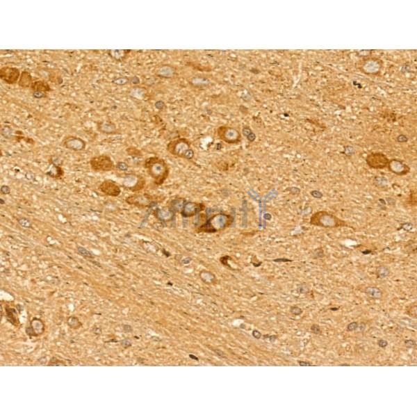 Валидация Affinity DF13140 - 8082