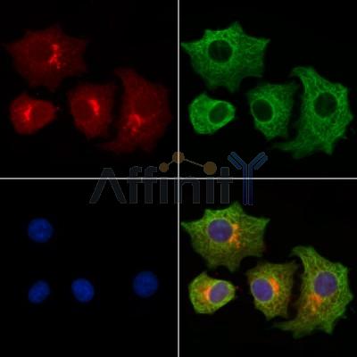 Валидация Affinity AF5012 - 2444