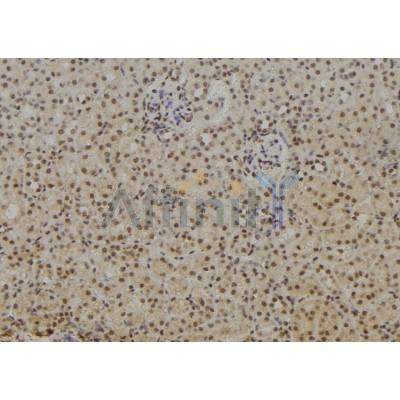 Валидация Affinity AF6217 - 3457