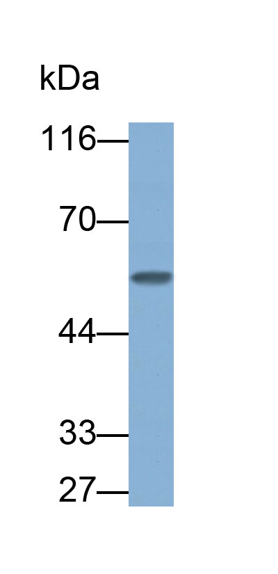 30669