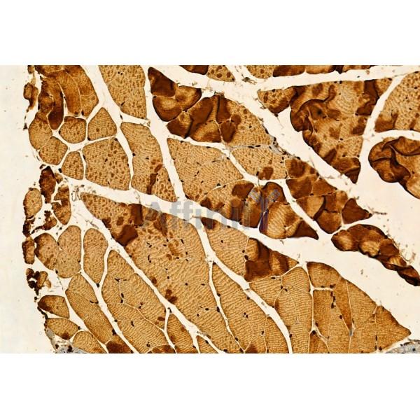 Валидация Affinity DF12040 - 6078