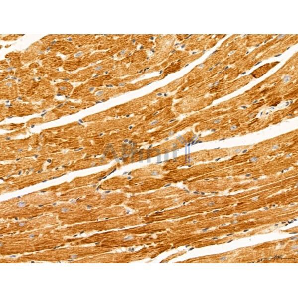 Валидация Affinity DF12140 - 6316