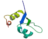 Peroxisome Proliferator Activated Receptor Gamma Coactivator 1 Beta (PPARgC1b) Peroxisome Proliferator Activated Receptor Gamma Coactivator 1 Beta (PPARgC1b)