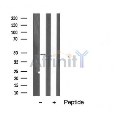 Валидация Affinity AF5470 - 3134