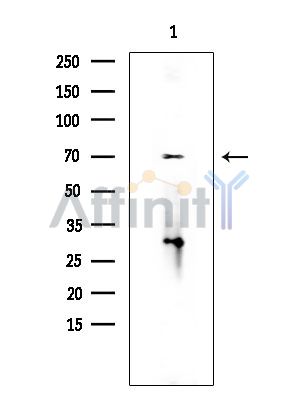Валидация Affinity DF8610 - 20531