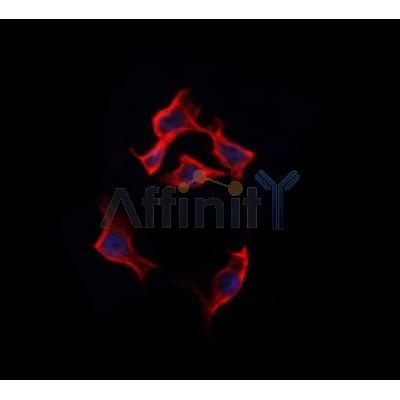 Валидация AFFINITY DF6638 - ICC