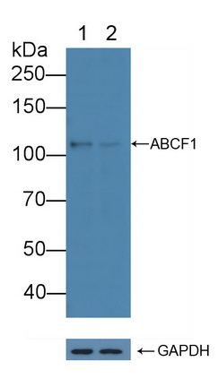 12288
