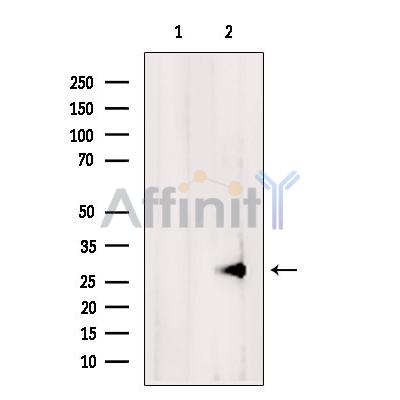 Валидация Affinity DF6369 - 17718