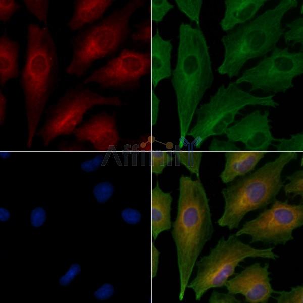 Валидация Affinity DF8069 - 19906