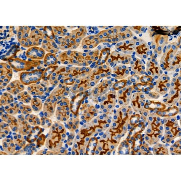 Валидация Affinity DF8387 - 20257