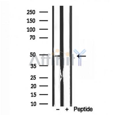 Валидация Affinity DF12111 - 6242