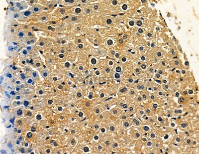 Валидация Affinity DF14075 - 9861