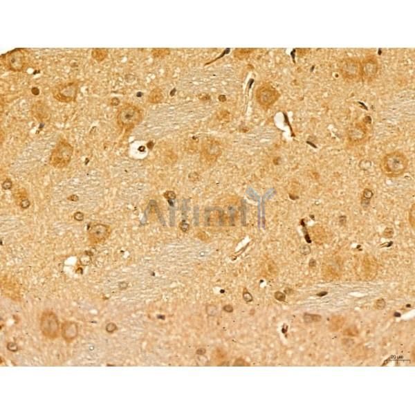 Валидация Affinity DF13132 - 8063