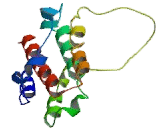 Interferon Alpha 10 (IFNa10) Interferon Alpha 10 (IFNa10)