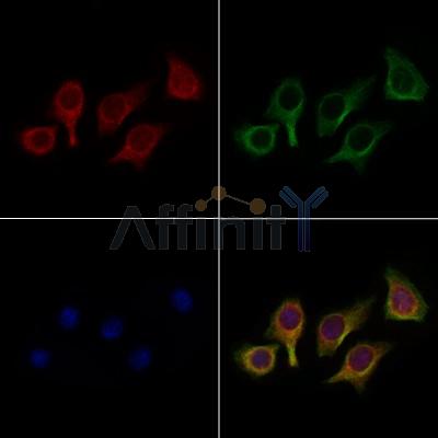 Валидация Affinity DF3976 - 15201