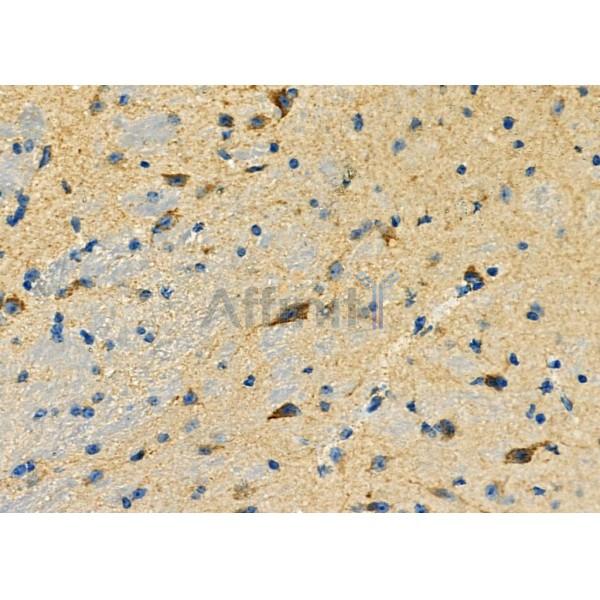 Валидация Affinity DF3537 - 14480