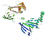 Zinc Finger Protein 259 (ZNF259)