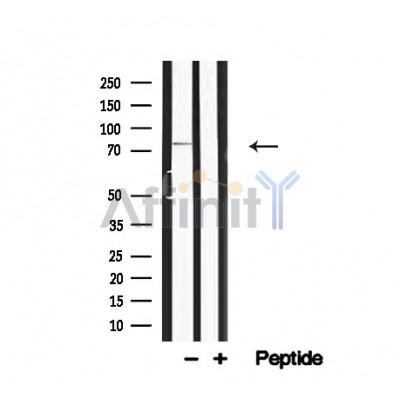 Валидация Affinity AF4688 - 2304
