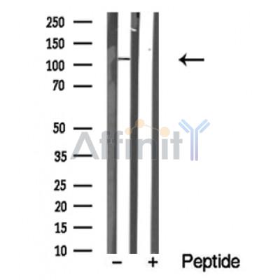 Валидация Affinity DF10363 - 5987