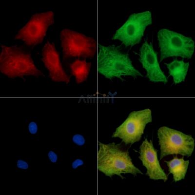 Валидация Affinity DF16070 - 12627