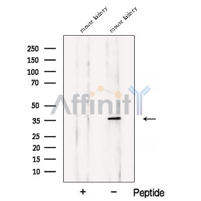 Валидация Affinity DF12841 - 7565