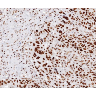 Валидация Affinity AF6235 - 3474