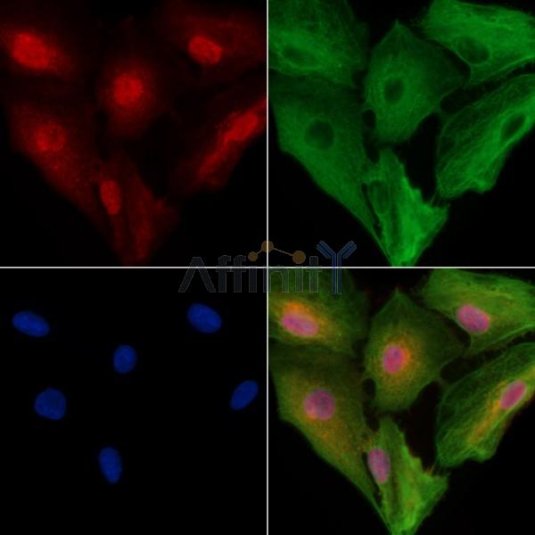 Валидация Affinity DF13610 - 9116