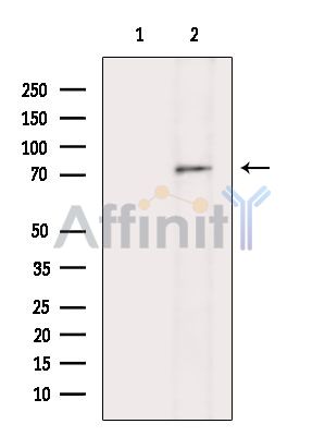 Валидация Affinity DF15465 - 11826