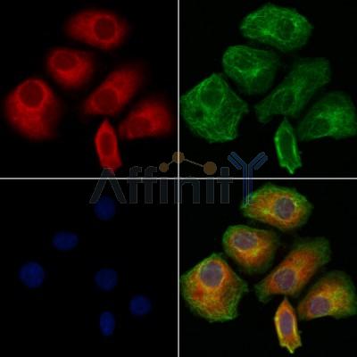 Валидация Affinity DF12495 - 7072