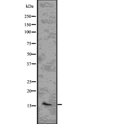 Валидация Affinity DF7661 - 19428