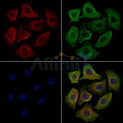 Валидация Affinity DF9300 - 21759