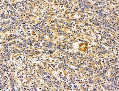 Валидация Affinity DF14597 - 10614