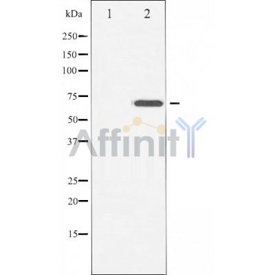 Валидация Affinity AF5258 - 2765