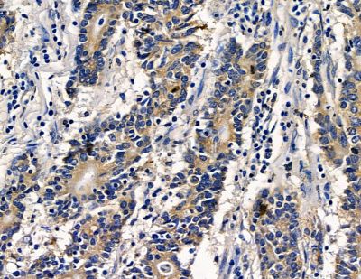 Валидация Affinity DF15364 - 11674