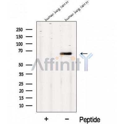 Валидация Affinity DF12662 - 7312