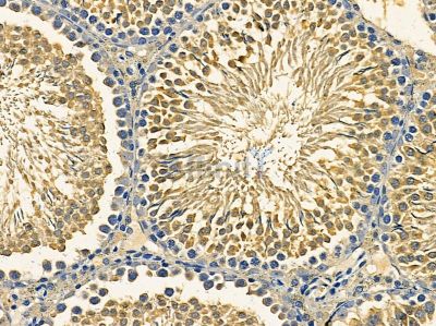 Валидация Affinity DF14434 - 10390