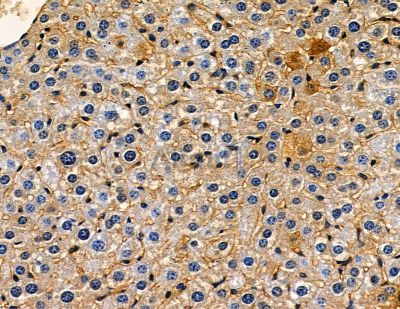 Валидация Affinity DF9356 - 21861