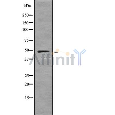 Валидация Affinity DF8358 - 20217