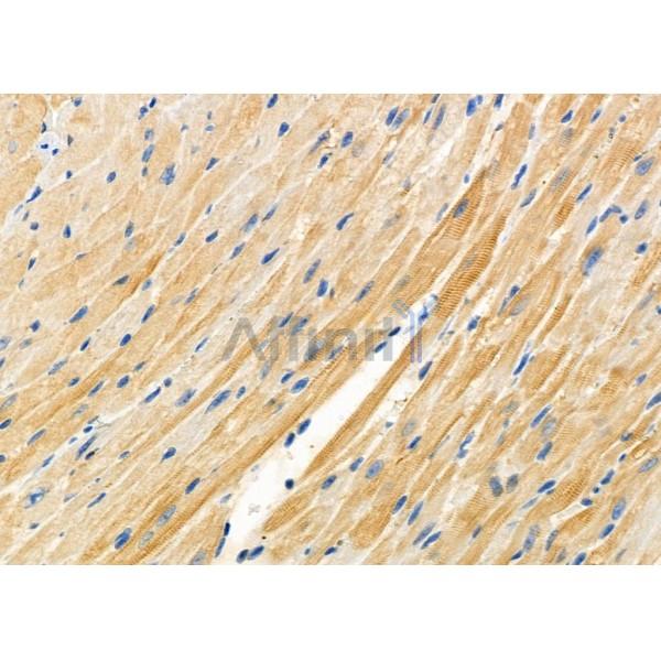 Валидация Affinity DF10273 - 5880