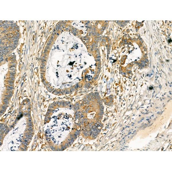 Валидация Affinity DF13215 - 8229