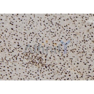 Валидация Affinity DF12121 - 6266