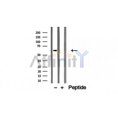 Валидация Affinity DF12190 - 6426
